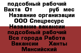 подсобный рабочий . Вахта. От 30 000 руб./мес. › Название организации ­ ООО Спецресурс › Название вакансии ­ подсобный рабочий - Все города Работа » Вакансии   . Ханты-Мансийский